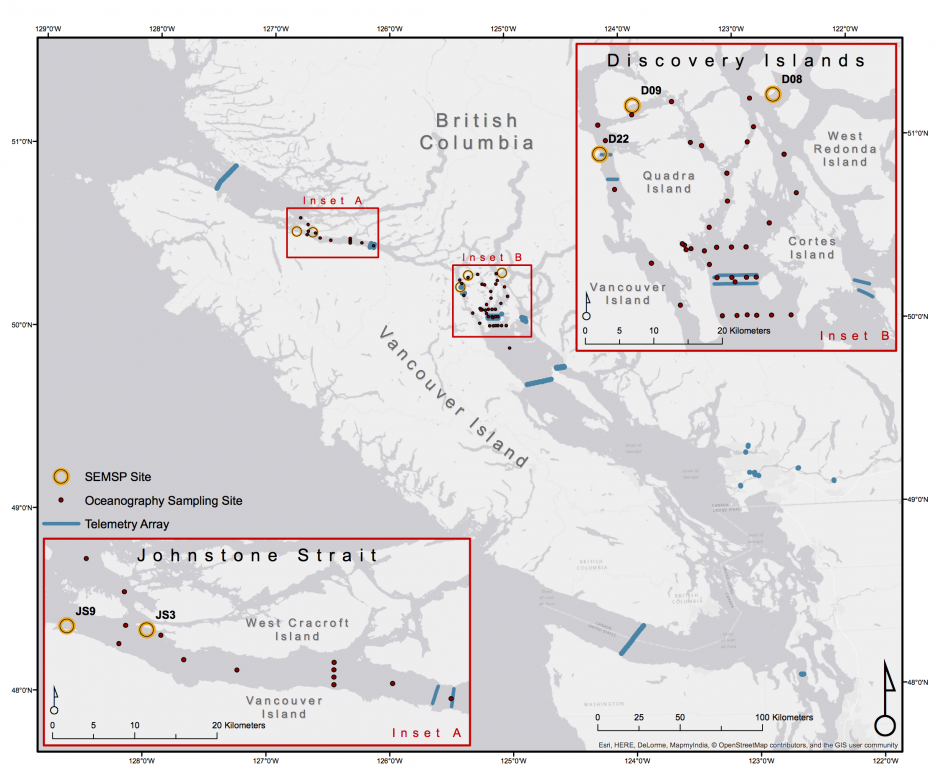 Early Marine Survival of Juvenile Pacific Salmon | PelagicEcosystems