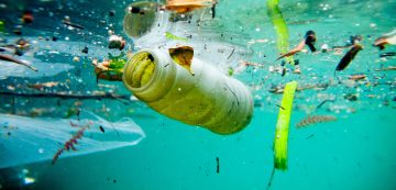 How microplastics are moving throughout our oceans