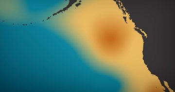 What heatwaves mean for the coastal ocean in BC